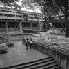 Faculdade de Direito - Campus Darcy Ribeiro